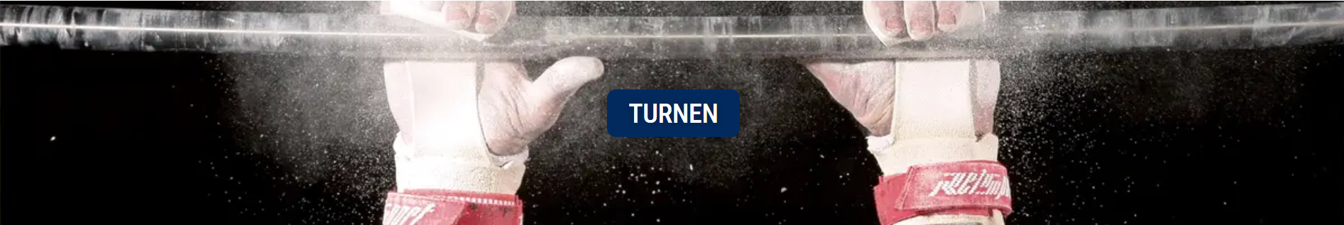 TSV Wendlingen Turnen Title Image
