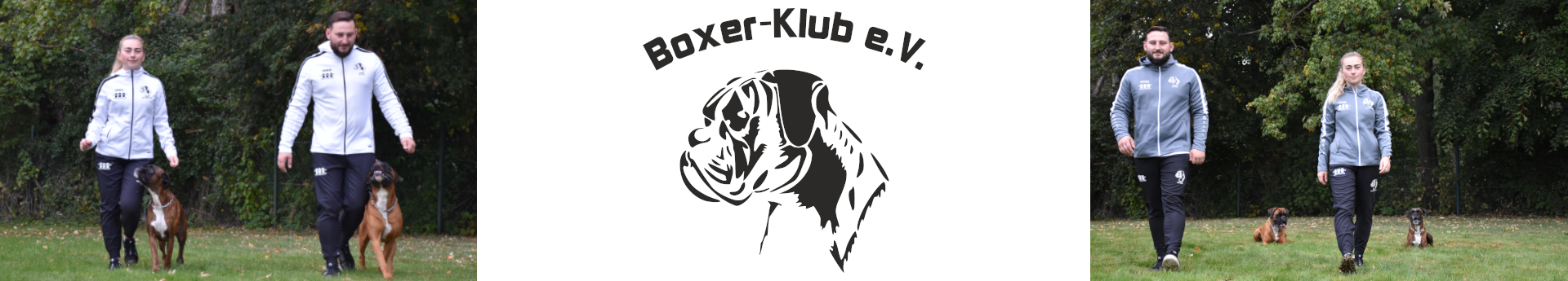 Boxer-Klub e. V. Title Image