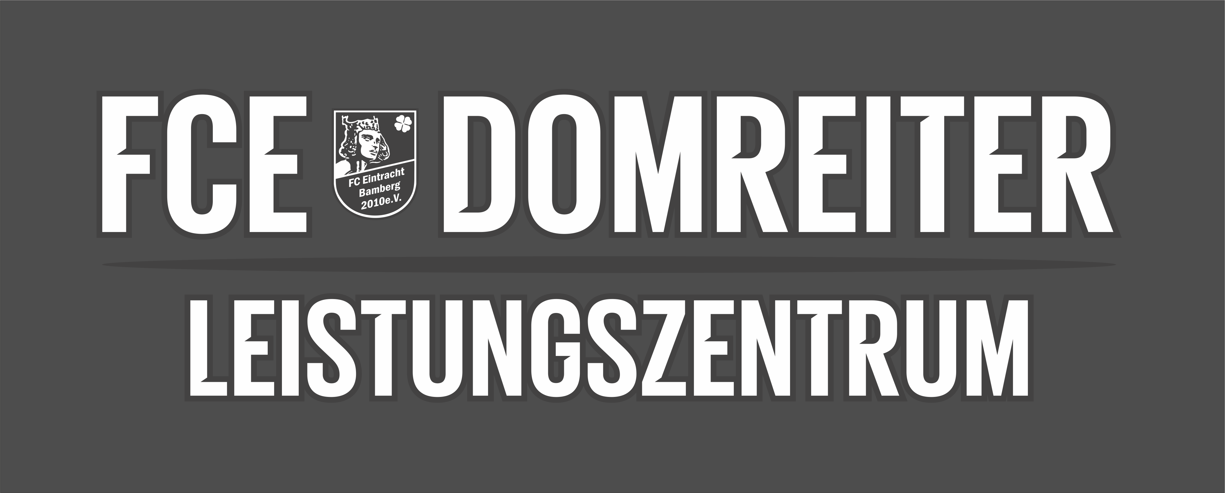 FC Eintracht Bamberg Title Image