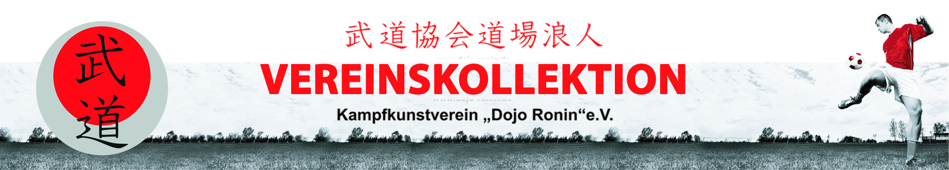 Dojo Ronin Title Image