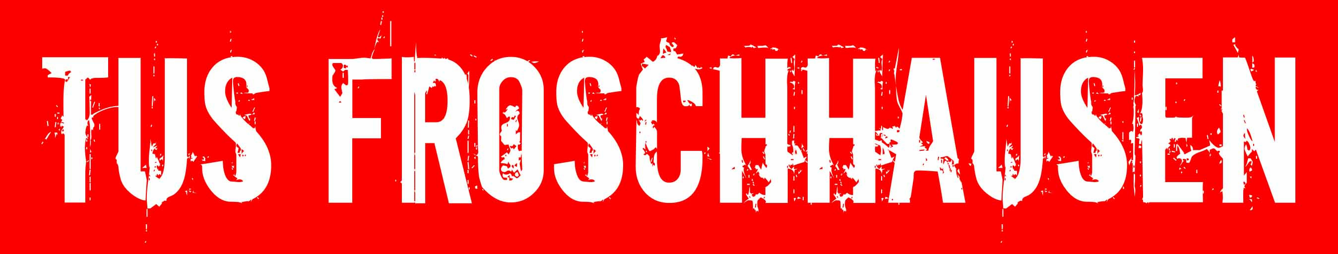 Turn- und Sportgemeinde 1880 e.V. Froschhausen Title Image
