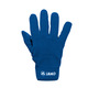Player gloves fleece royal Front View