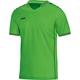Jersey Indoor soft green Front View
