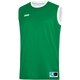 Reversible jersey Change 2.0 sport green/white Front View