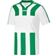Shirt Santos KM wit/sportgroen Voorkant