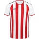 Jersey Inter S/S white/sport red Front View