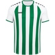 Jersey Inter S/S white/sport green Front View