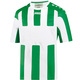 Jersey Milan S/S white/sport green Front View