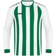 Jersey Inter L/S white/sport green Front View