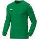 Jersey Team L/S sport green Front View