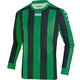 Jersey Inter L/S sport green/black Front View