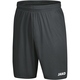 Shorts Anderlecht 2.0 anthracite Front View