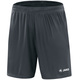 Shorts Anderlecht anthracite Front View