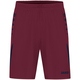 Shorts Challenge maroon/seablue Front View