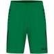 Shorts Challenge sport green/black Front View