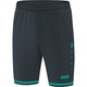 Shorts Striker 2.0 anthracite/turquoise Front View