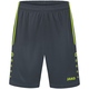 Shorts Allround anthracite/lemon Front View