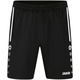 Shorts Allround black Picture on person