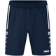 Shorts Allround seablue Picture on person