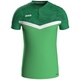 Polo Iconic soft green/sportgrün Vorderansicht