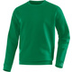 Sweater Team sport green Front View