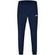 Presentation trousers Team seablue Picture on person
