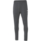 Training trousers Premium anthra light Picture on person
