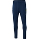 Training trousers Premium seablue/neon yellow Picture on person