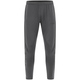 Training trousers Power anthra light Front View