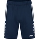 Training shorts Allround seablue Picture on person