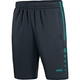 Training shorts Active anthracite/turquoise Front View