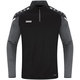 Zip top Performance black/anthra light Picture on person