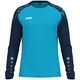 Longsleeve Sonic aqua/marine Voorkant