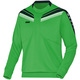 Sweater Pro soft green/black/white Front View