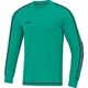 GK jersey Striker 2.0 turquoise/anthracite Front View
