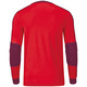 GK jersey Striker red/maroon Back View