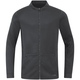 Jacket Pro Casual ash grey Front View