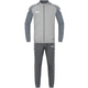 Tracksuit Polyester Performance soft grey/stone grey Front View