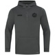Mainz 05 Zip Hoodie Pro Casual