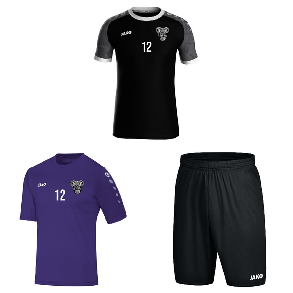 PACK -15 ANS 