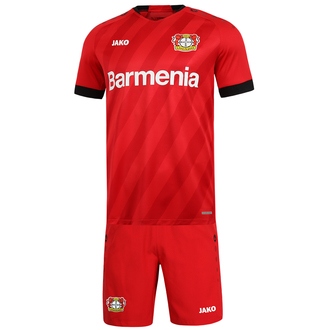 Bayer 04 Leverkusen Minikit Home