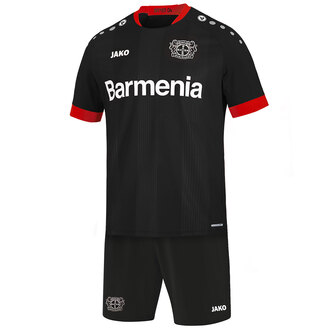 Bayer 04 Leverkusen Minikit Home