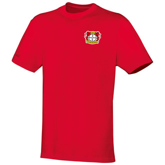 Bayer 04 Leverkusen t-shirt Team