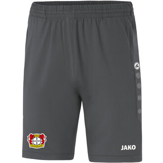 Trainingsshort Premium International