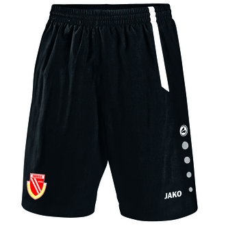FC Energie Cottbus Short Ausweich