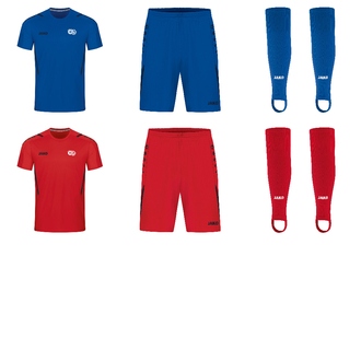 Trikotset Jugend blau 