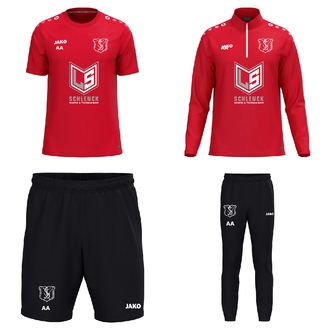 Training-Set Sponsor 