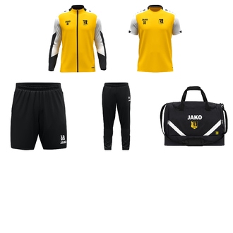 Starter-Set Präsentation gelb 