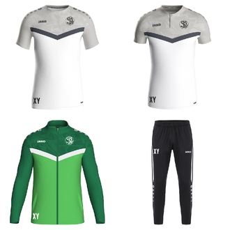 Basis Set SV Lauchheim 