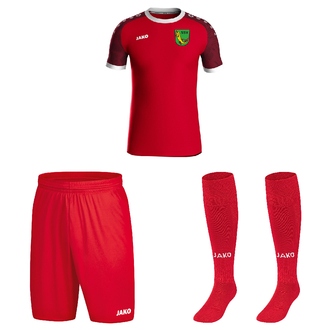 Mannschaftsbestellung Trikotsatz 